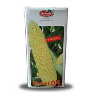 SWEET 04 SWEETCORN