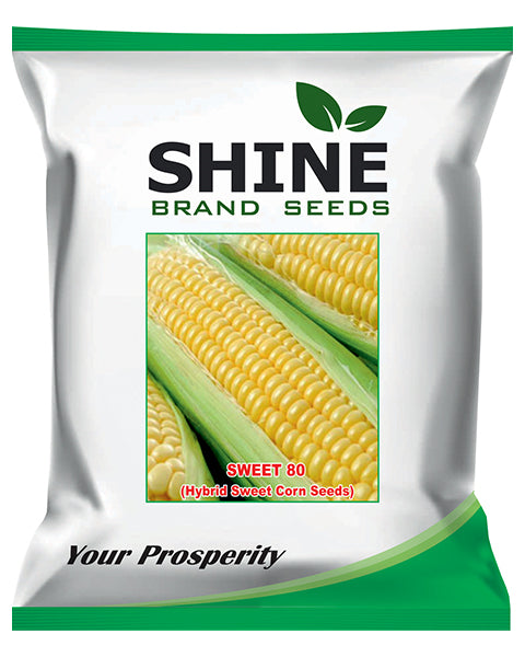 SHINE SWEET 80 SWEET CORN SEEDS