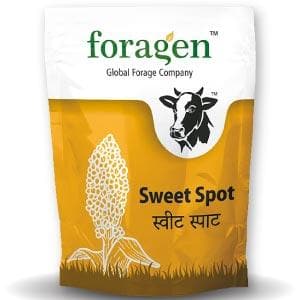 SWEET SPOT (SWEET SORGHUM)