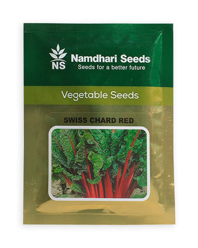 SWISS CHARD RED NS 10552 KGP