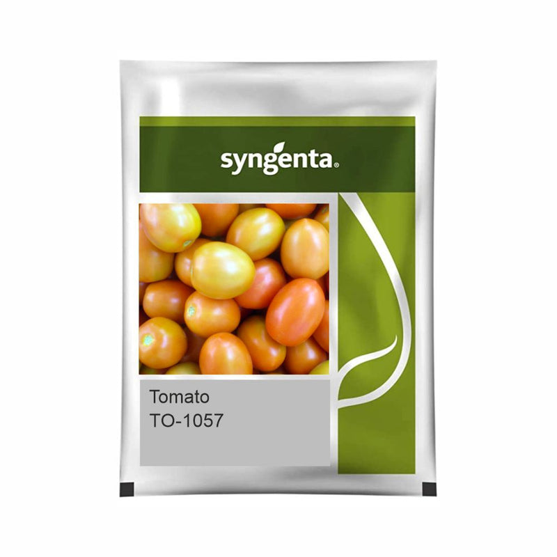 TO-1057 TOMATO SEEDS