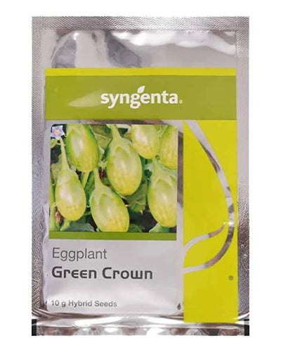 Syngenta Green Crown Brinjal Seeds