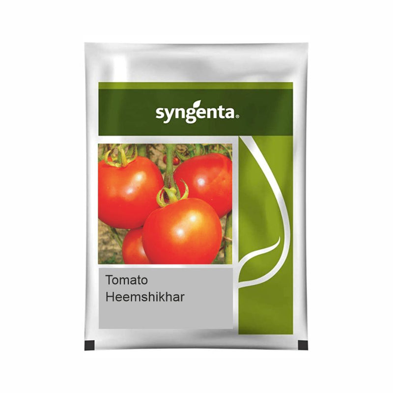 HEEMSHIKHAR TOMATO