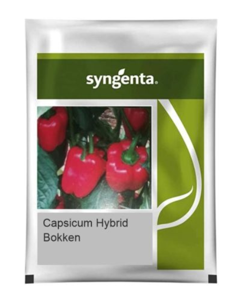CAPSICUM BOKKEN Capsicum Seeds