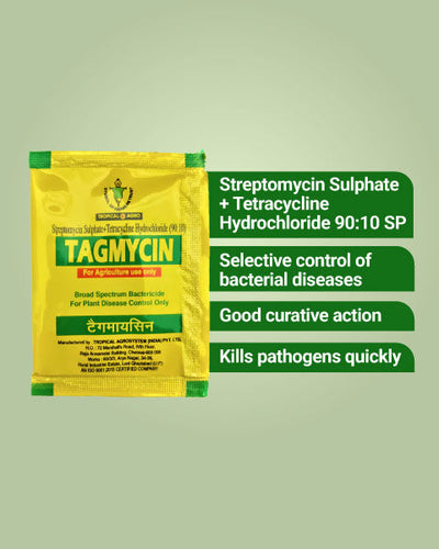 TAGMYCIN BACTERICIDE