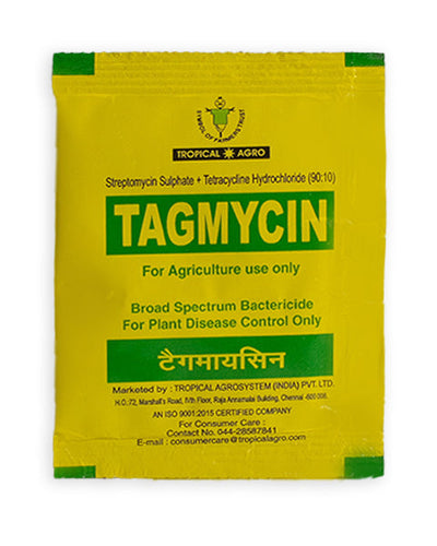 TAGMYCIN BACTERICIDE