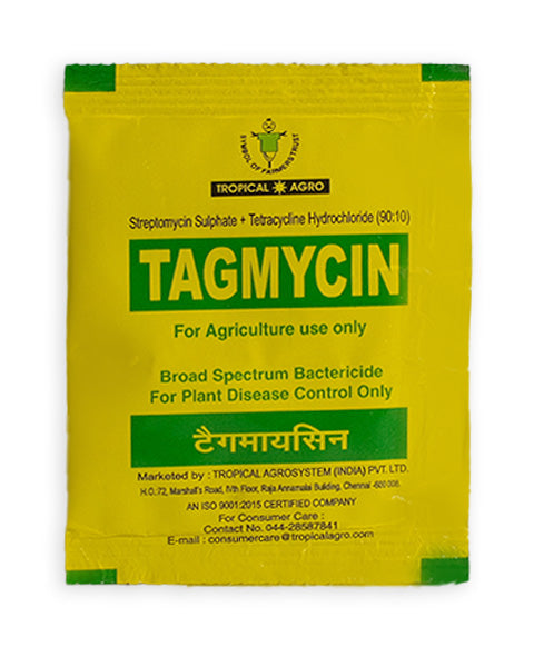 TAGMYCIN BACTERICIDE