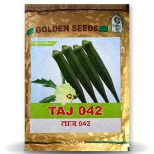 TAJ 042 BHENDI (OKRA) ( ताज 042 भिंडी )