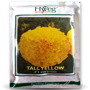 TALL YELLOW MARIGOLD