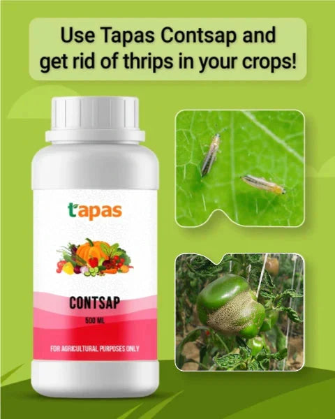 Tapas Contsap Bio Insecticide - Buy 2 Get 1 FREE