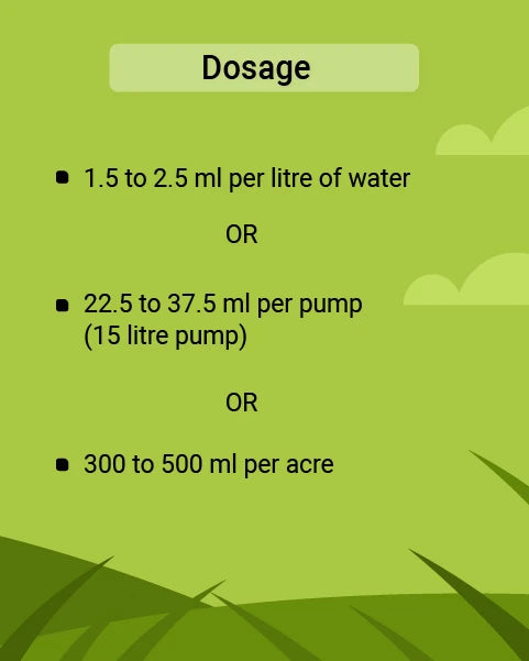 TAPAS CONTSAP BIO INSECTICIDE - ECO FRIENDLY REMEDY FOR THRIPS CONTROL