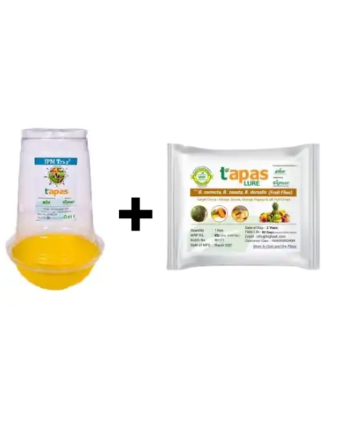 TAPAS FRUIT FLY TRAP & LURE- IPM COMBO