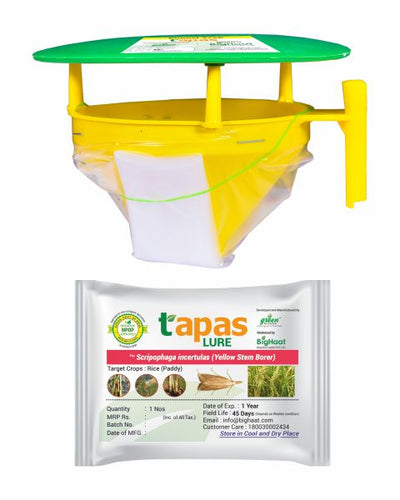 TAPAS FUNNEL TRAP WITH YELLOW STEM BORER LURE COMBO