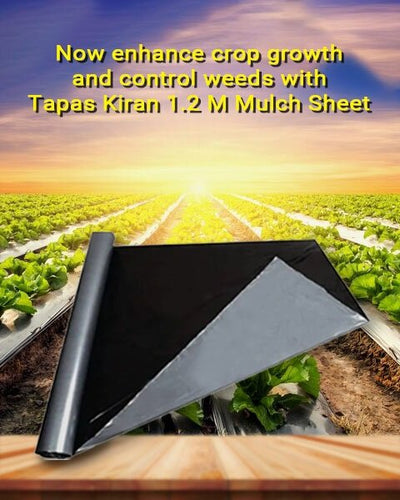 TAPAS KIRAN MULCHING SHEET-1.2M (4FEET)-400 M