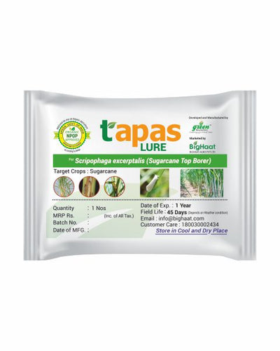 TAPAS SUGARCANE TOP BORER LURE WITH FUNNEL TRAP COMBO