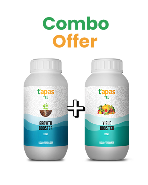 TAPAS TEJ GROWTH BOOSTER + TAPAS TEJ YIELD BOOSTER COMBO