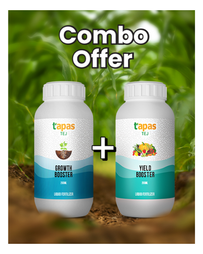 TAPAS TEJ GROWTH BOOSTER + TAPAS TEJ YIELD BOOSTER COMBO