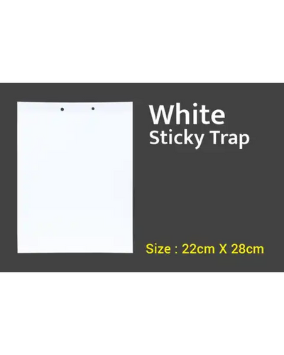 TAPAS WHITE STICKY TRAP 22 Cm X 28 Cm