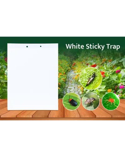 TAPAS WHITE STICKY TRAP 22 Cm X 28 Cm