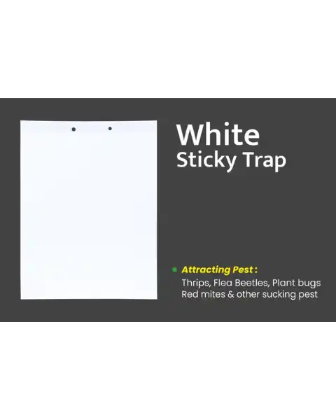 TAPAS WHITE STICKY TRAP 22 Cm X 28 Cm