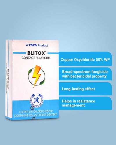 Blitox Fungicide