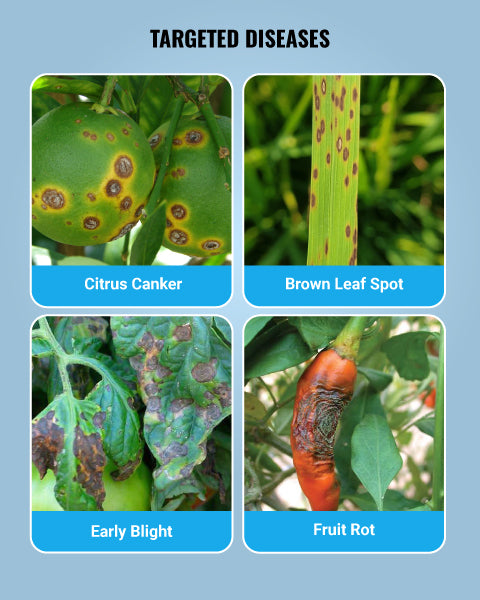 Blitox Fungicide