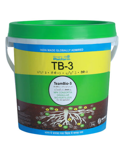 TB-3 GRANULE BIOFERTILIZER