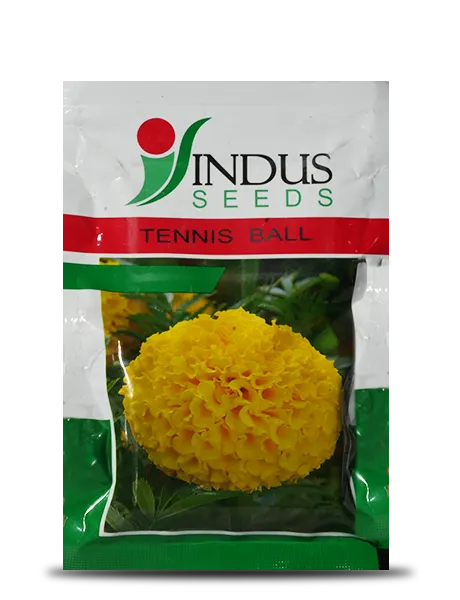 TENNIS BALL F1 HYBRID MARIGOLD SEEDS