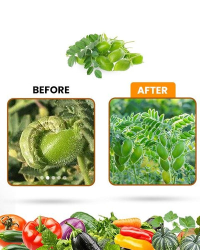 Orga Neem 10000 PPM Bio Pesticide