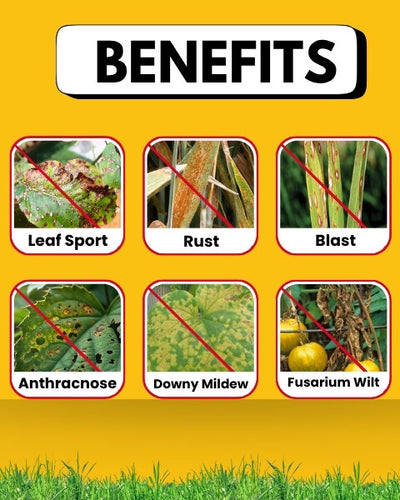 Katyayani Hexa 5 Plus (Hexaconazole 5% SC) Fungicide