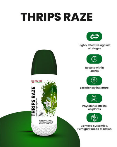 KAY BEE BIO THRIPS RAZE (BLACK THRIPS SPECIAL)