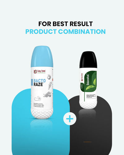KAY BEE BACTO RAZE BIO BACTERICIDE