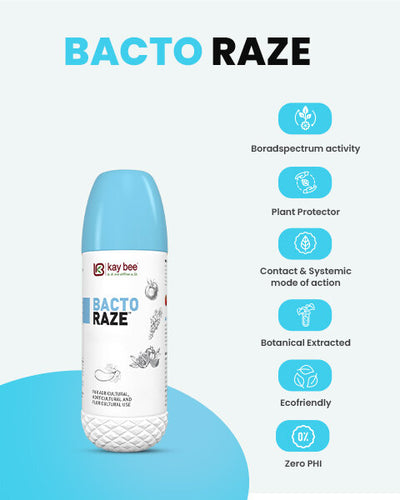 KAY BEE BACTO RAZE BIO BACTERICIDE