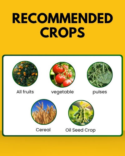 Katyayani Hexa 5 Plus (Hexaconazole 5% SC) Fungicide