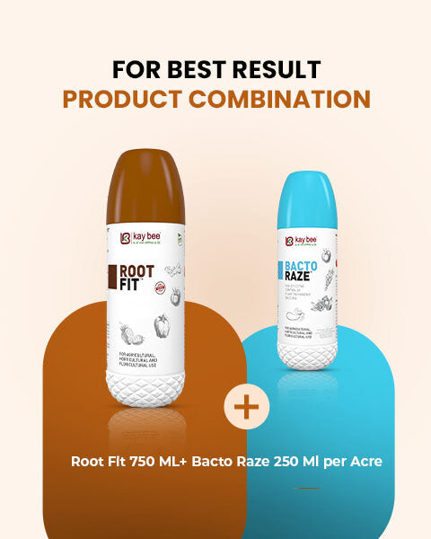 KAY BEE ROOT FIT FUNGICIDE