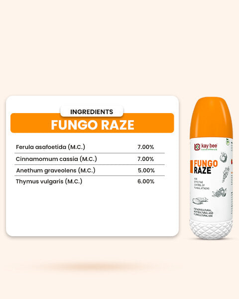 FUNGO RAZE (Bio Fungicide) – For Effective Fungal Disease Control