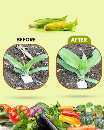 Larvo Raze Bio Pesticide