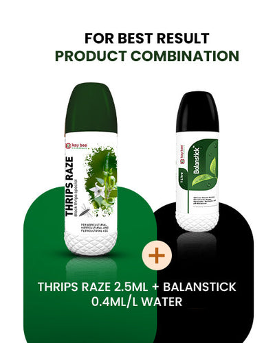 KAY BEE BIO THRIPS RAZE (BLACK THRIPS SPECIAL)