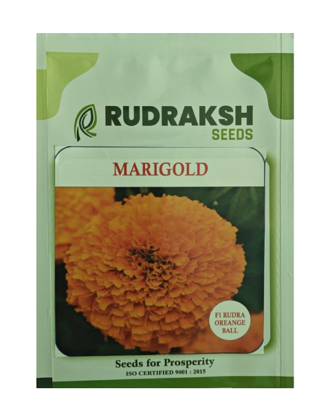 RUDRAKSH SEEDS MARIGOLD - F1 RUDRA OREANGE BALL - Marigold