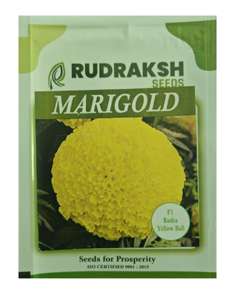 RUDRAKSH MARIGOLD - F1 RUDRA YELLOW BALL - Marigold