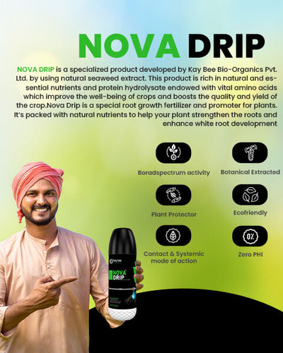KAY BEE BIO - ORGANICS NOVA DRIP GROWTH REGULATOR