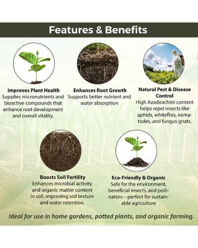 AMRUTH NEEM POWDER