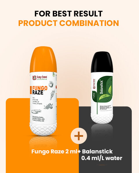 FUNGO RAZE (Bio Fungicide) – For Effective Fungal Disease Control