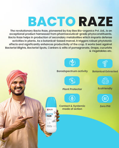 KAY BEE BACTO RAZE BIO BACTERICIDE