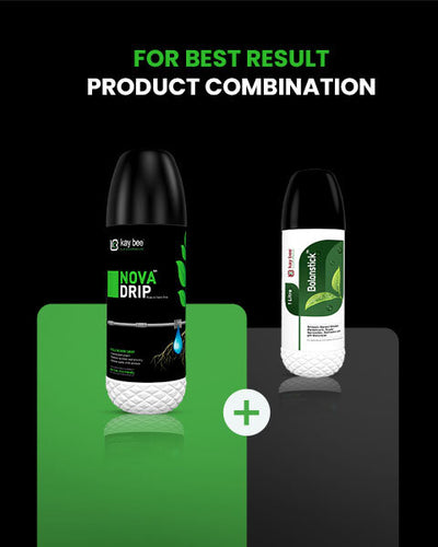 KAY BEE BIO - ORGANICS NOVA DRIP GROWTH REGULATOR