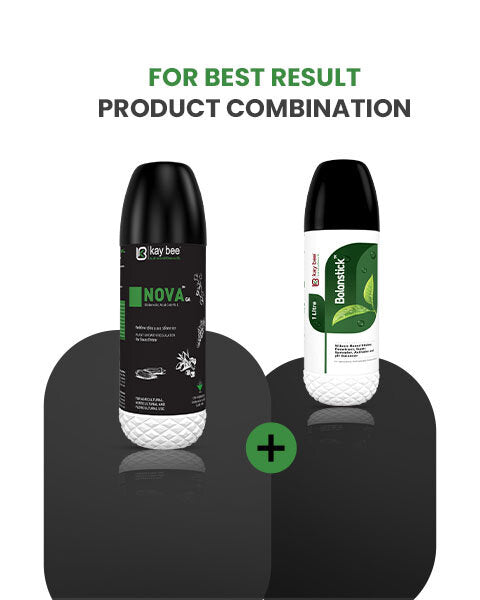KAY BEE BIO - ORGANICS NOVA GA GROWTH REGULATOR