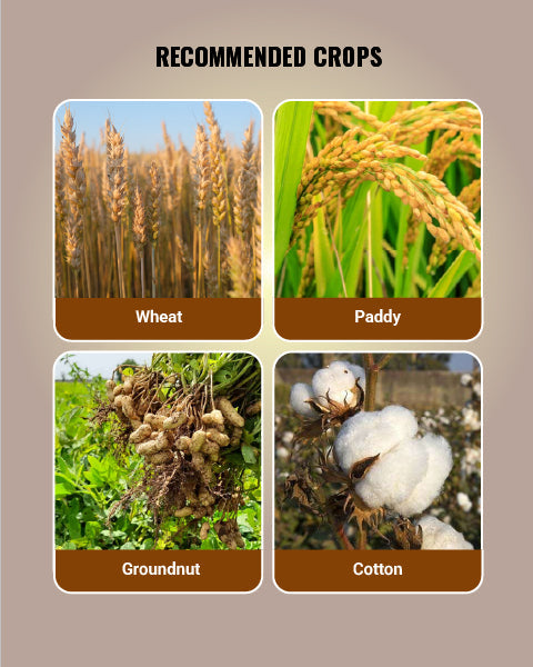Tilt Fungicide