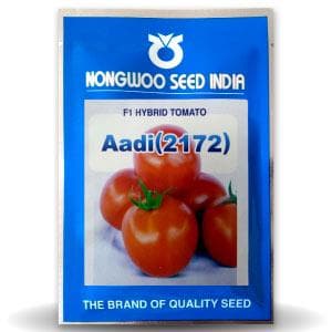 ADI TOMATO (आदी टमाटर) - SEEDS