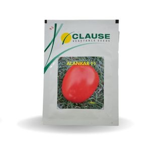 ALANKAR TOMATO F1 (अलंकार टमाटर) - SEEDS