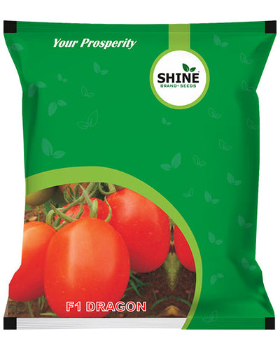 SHINE TOMATO DRAGON F1 HYBRID SEEDS